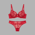 Red Lace Bridal Bra Panty Set – Romantic & Luxury Bridal Innerwear