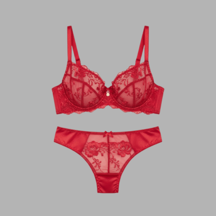 Red Lace Bridal Bra Panty Set – Romantic & Luxury Bridal Innerwear