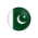 pakistani flag icon